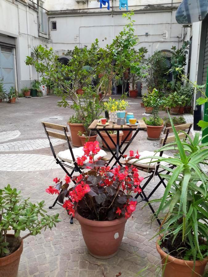 Appartement Modern In Near Historical Centre *